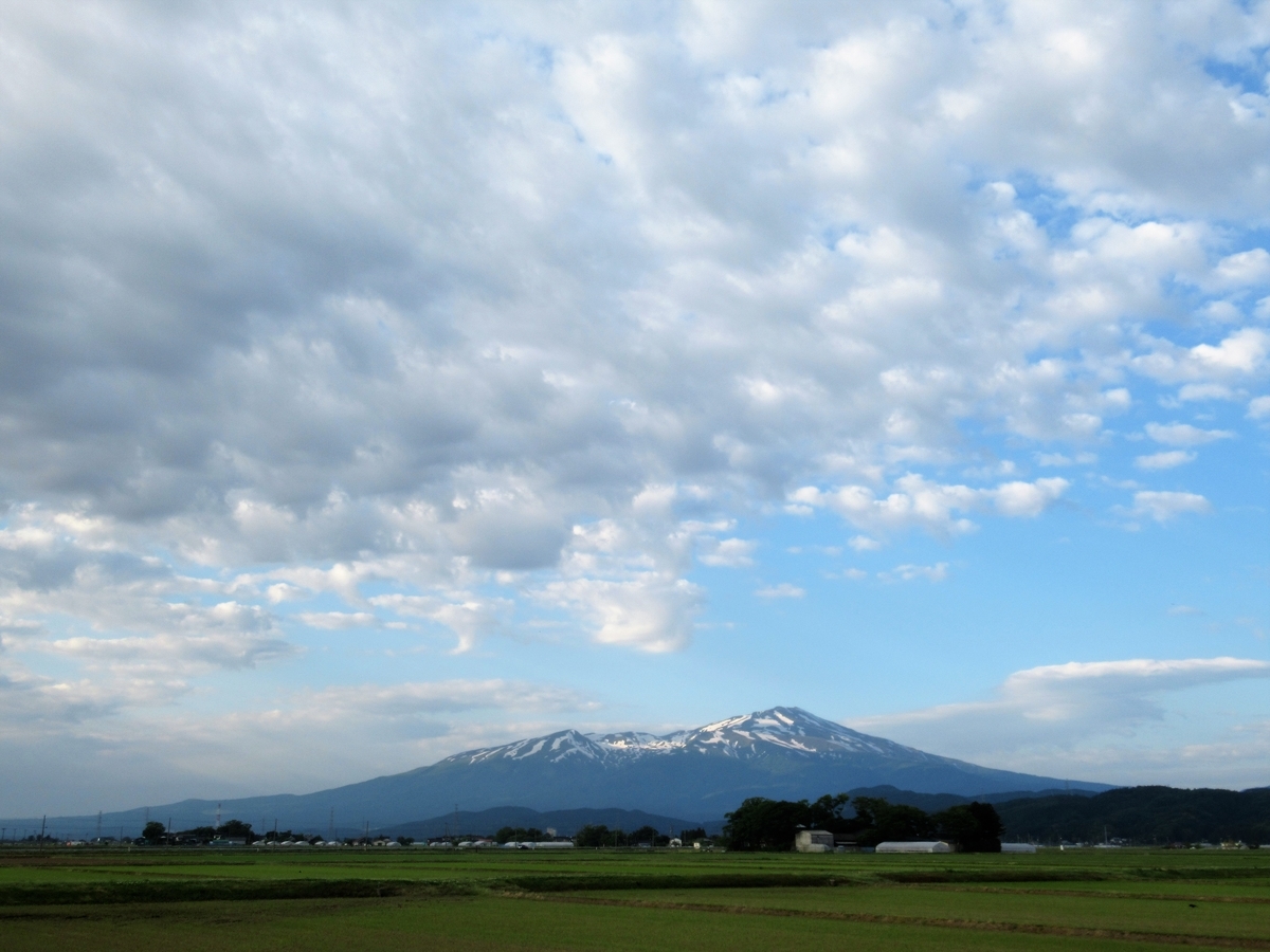 f:id:pft78526:20190609102333j:plain