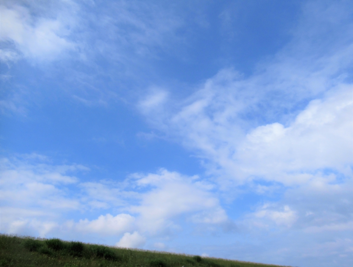 f:id:pft78526:20190614203003j:plain