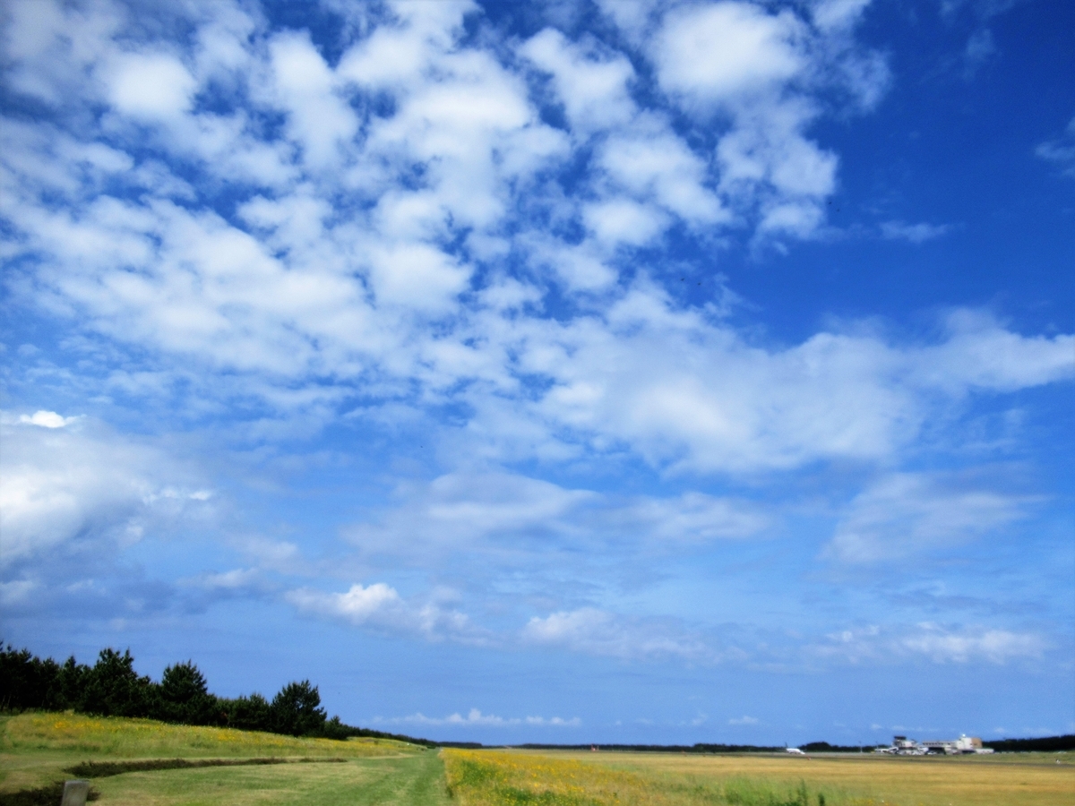 f:id:pft78526:20190614204410j:plain