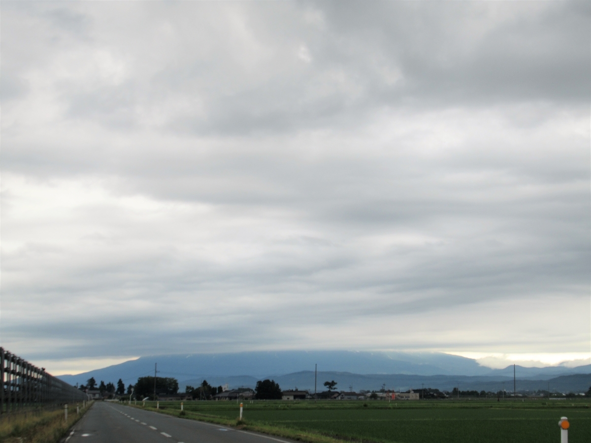 f:id:pft78526:20190629083801j:plain