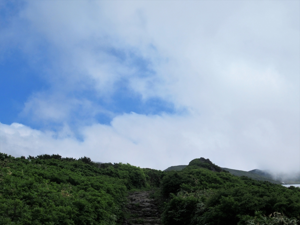 f:id:pft78526:20190629091956j:plain f:id:pft78526:20190629091956j:plain