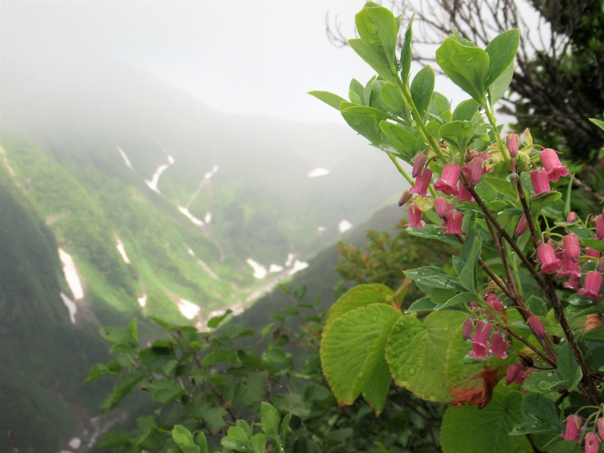 f:id:pft78526:20190629092536j:plain f:id:pft78526:20190629092536j:plain