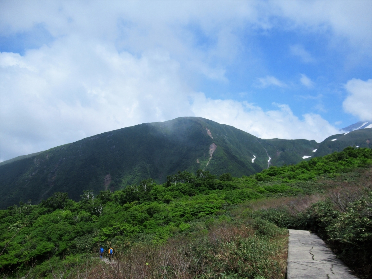 f:id:pft78526:20190629092922j:plain f:id:pft78526:20190629092922j:plain