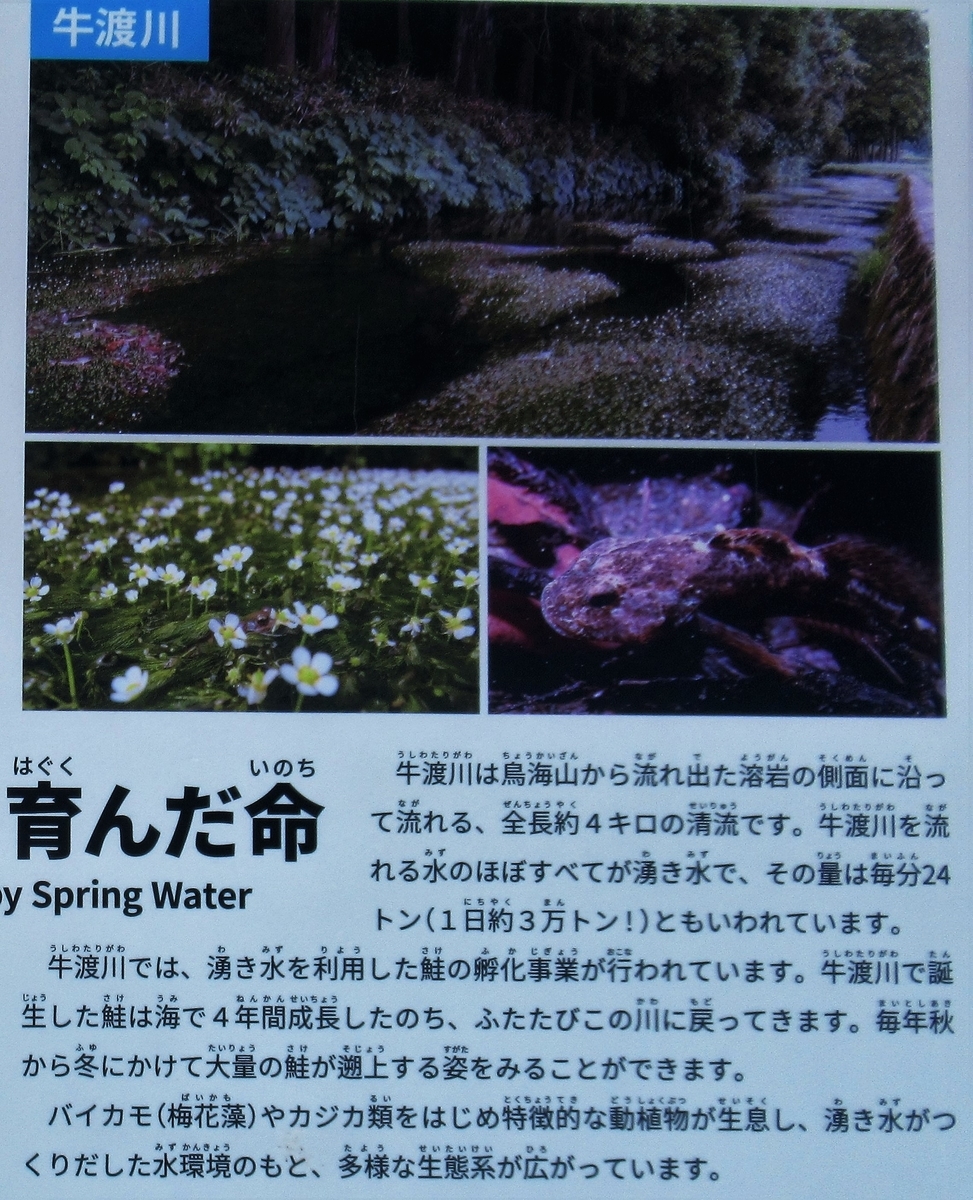 f:id:pft78526:20190629093133j:plain