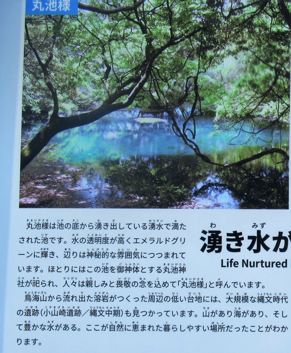 f:id:pft78526:20190629093140j:plain