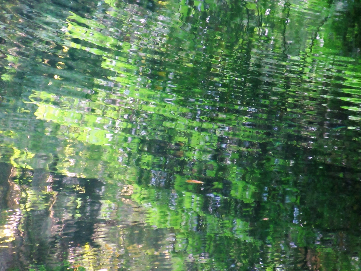 f:id:pft78526:20190629093759j:plain