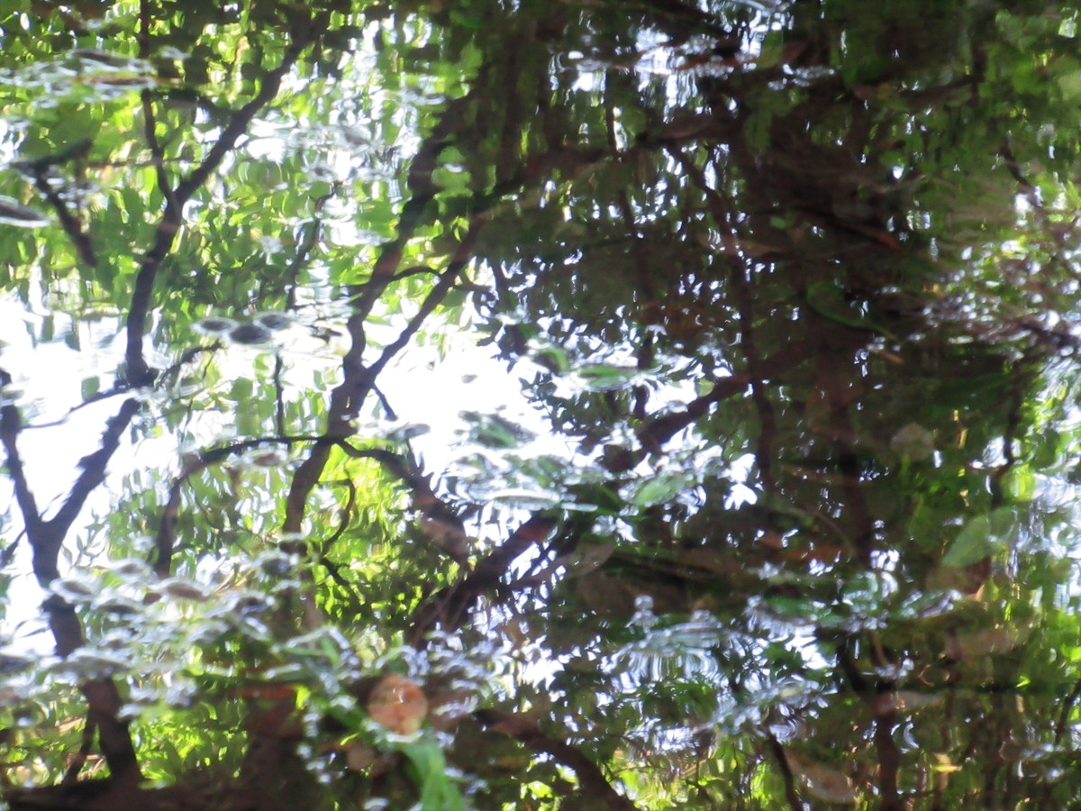 f:id:pft78526:20190629094012j:plain