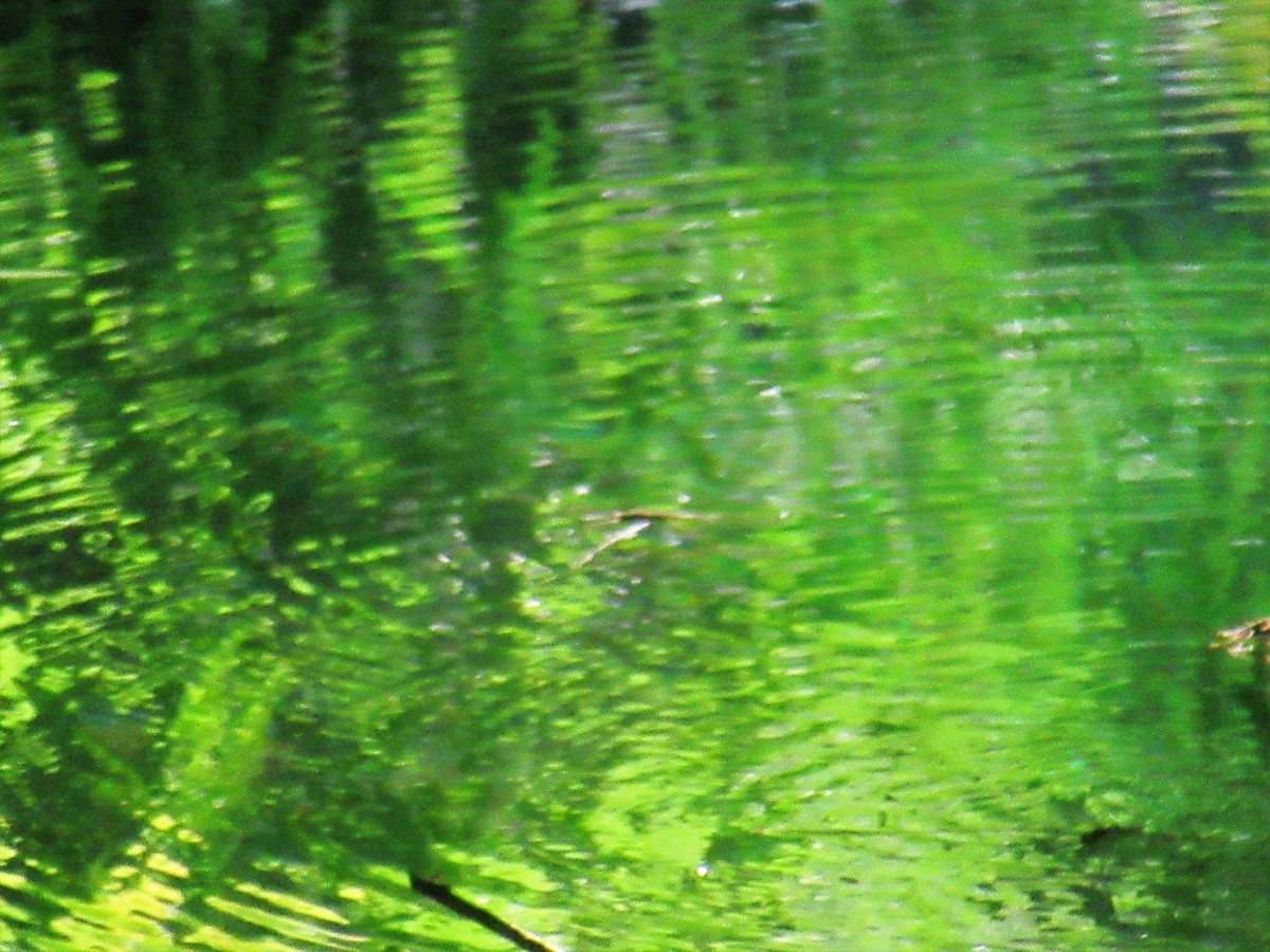 f:id:pft78526:20190629094313j:plain