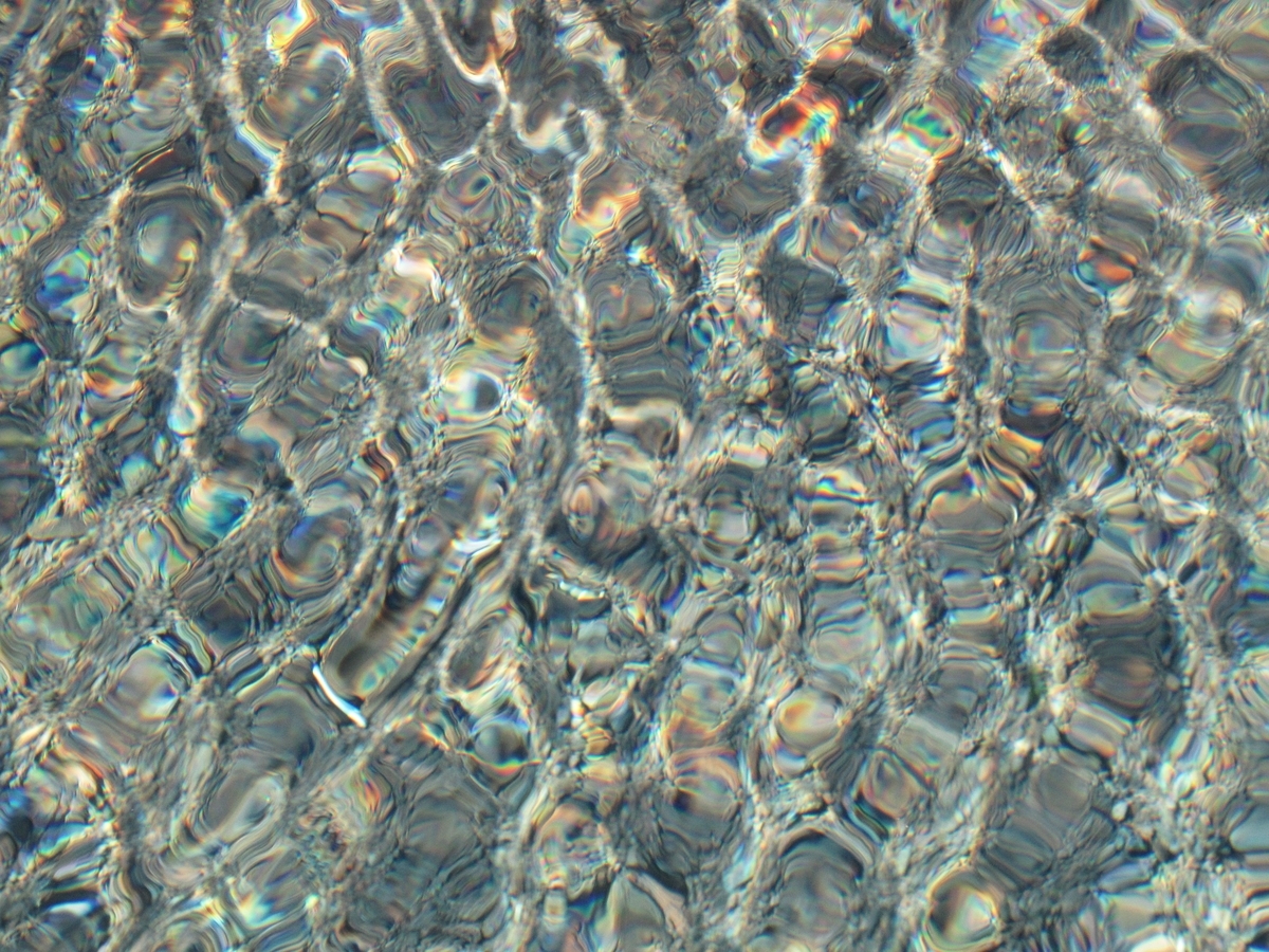 f:id:pft78526:20190629094342j:plain