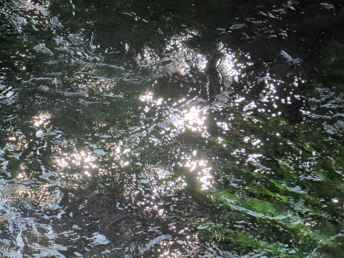 f:id:pft78526:20190629094533j:plain