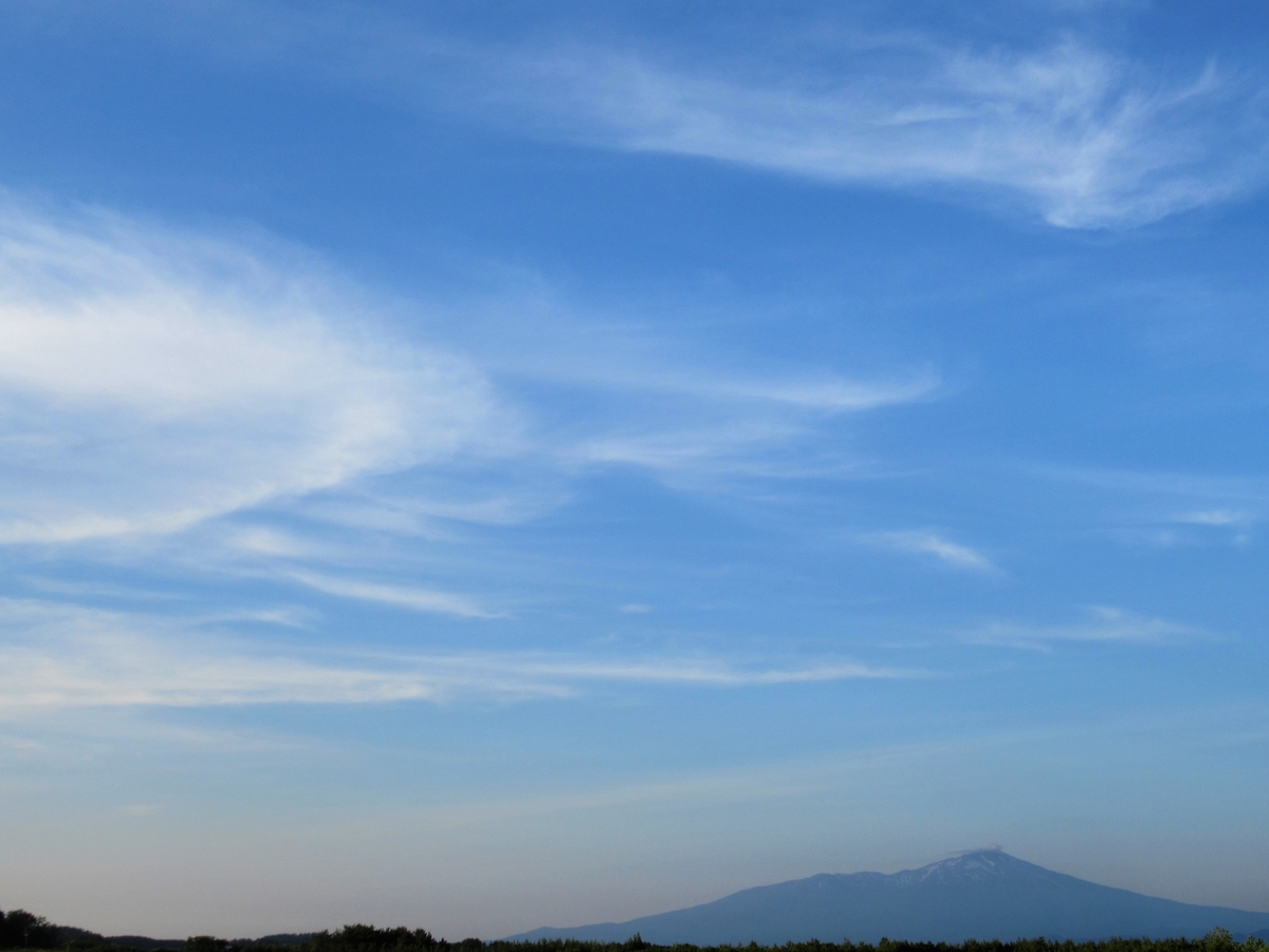 f:id:pft78526:20190702202928j:plain