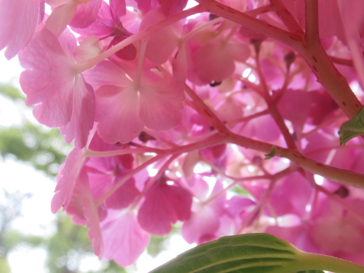 f:id:pft78526:20190702204318j:plain