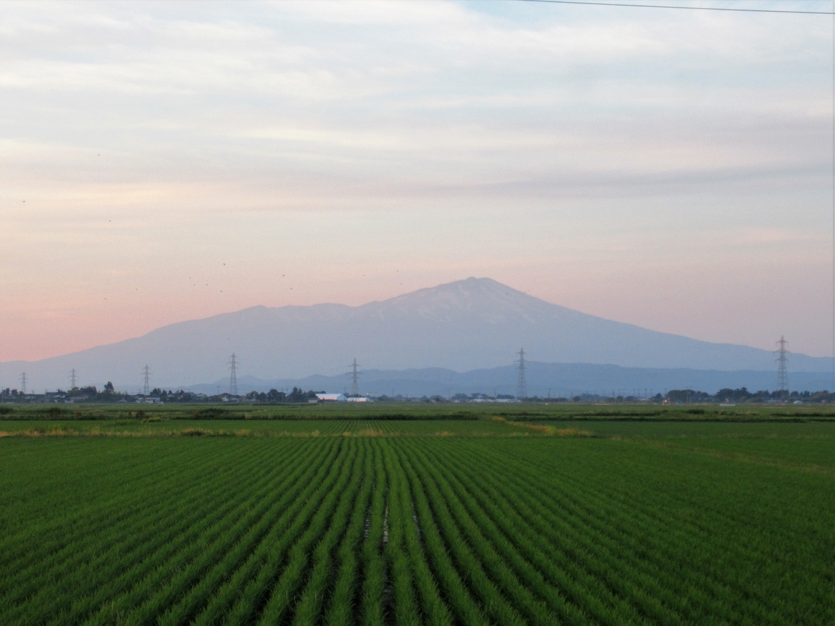f:id:pft78526:20190702204559j:plain