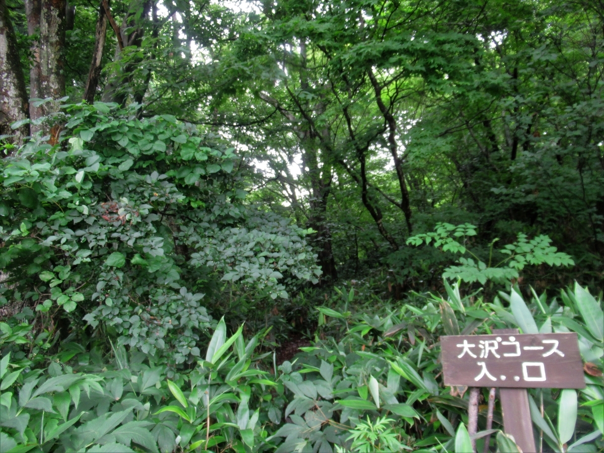 f:id:pft78526:20190702212902j:plain