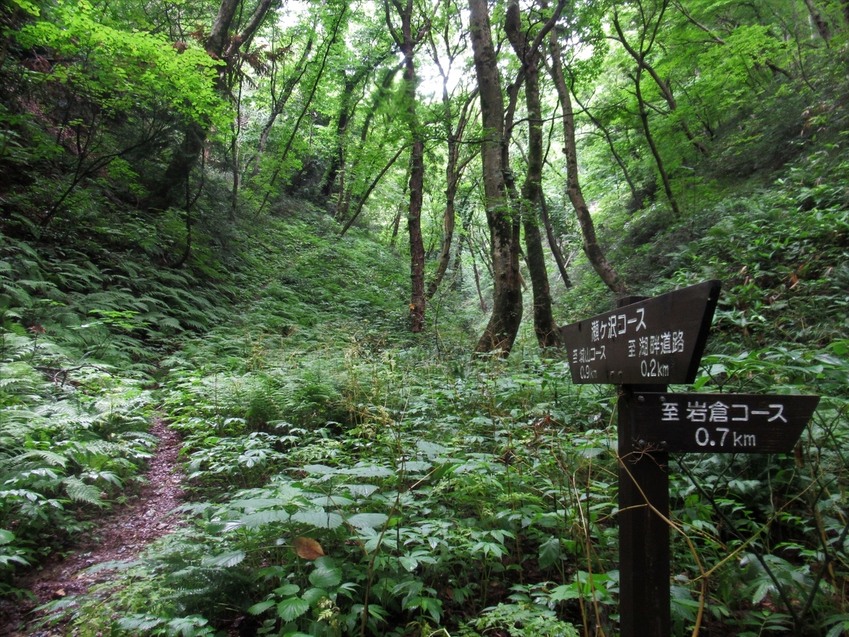 f:id:pft78526:20190702213927j:plain