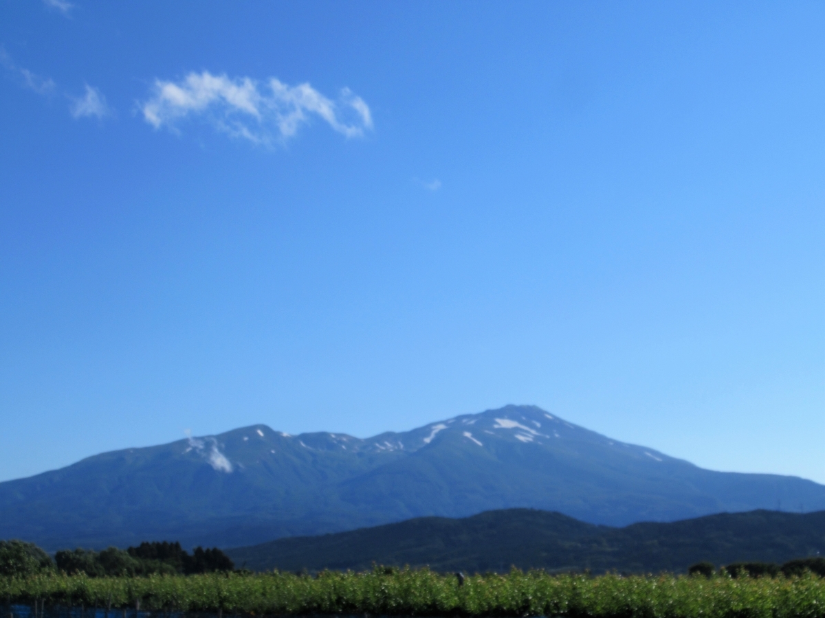 f:id:pft78526:20190713210245j:plain