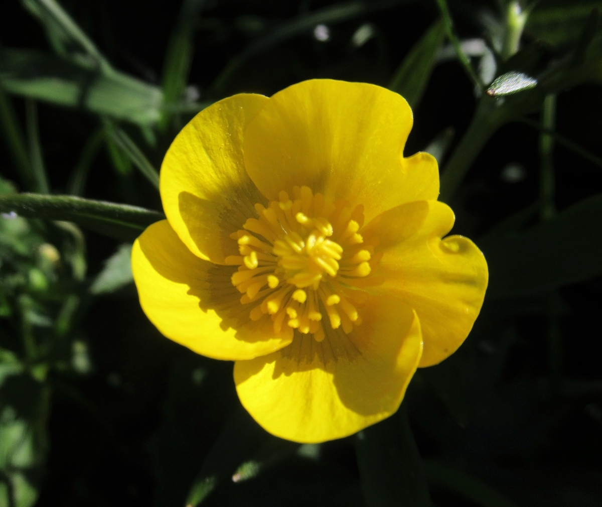 f:id:pft78526:20190714053353j:plain f:id:pft78526:20190714053353j:plain