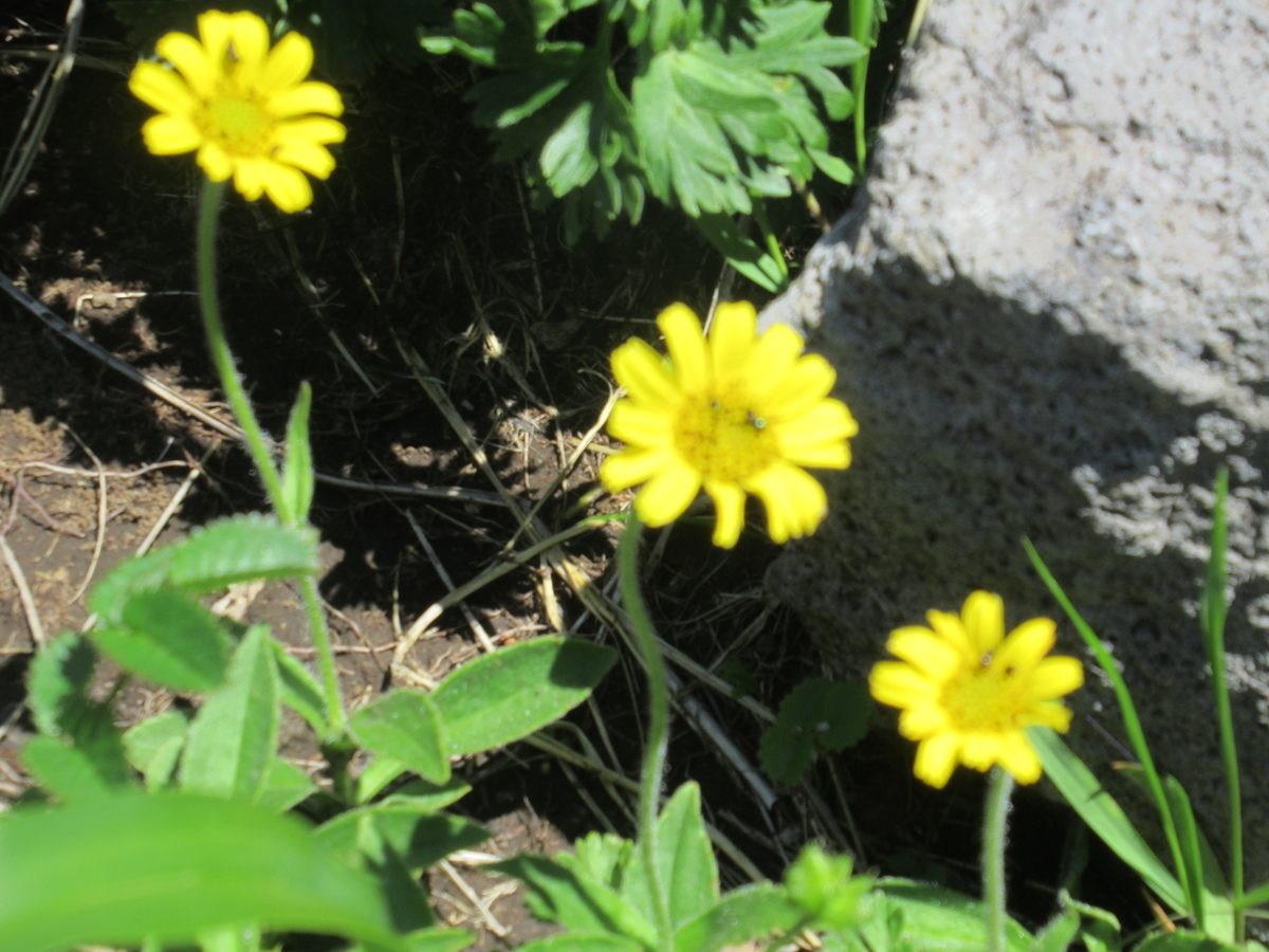 f:id:pft78526:20190714054220j:plain f:id:pft78526:20190714054220j:plain