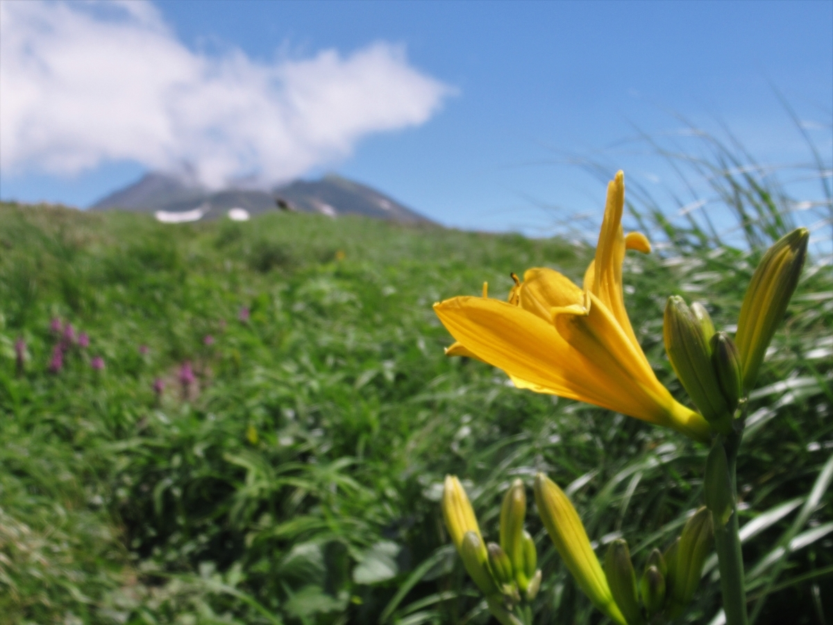 f:id:pft78526:20190714055654j:plain