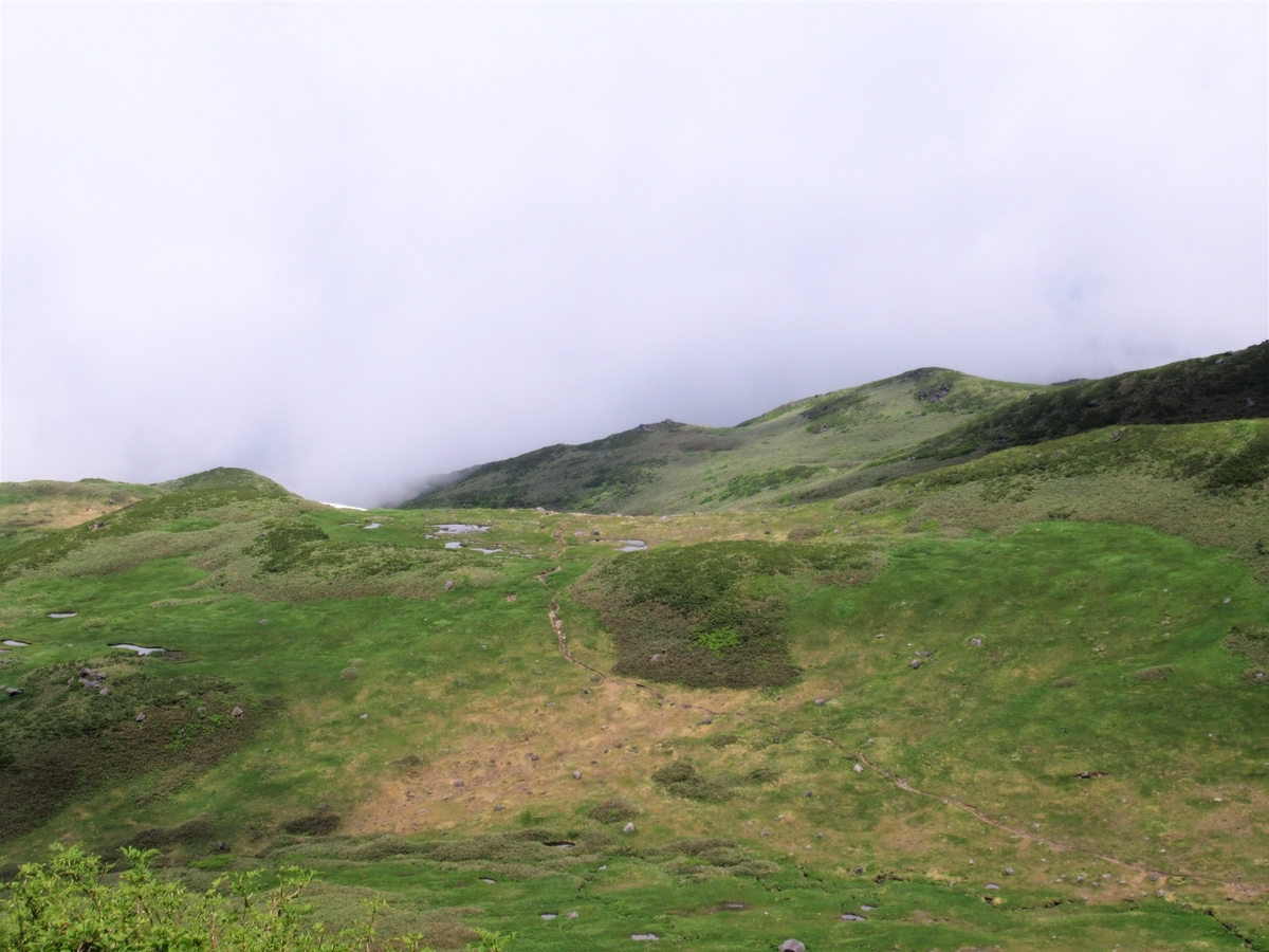 f:id:pft78526:20190714055844j:plain