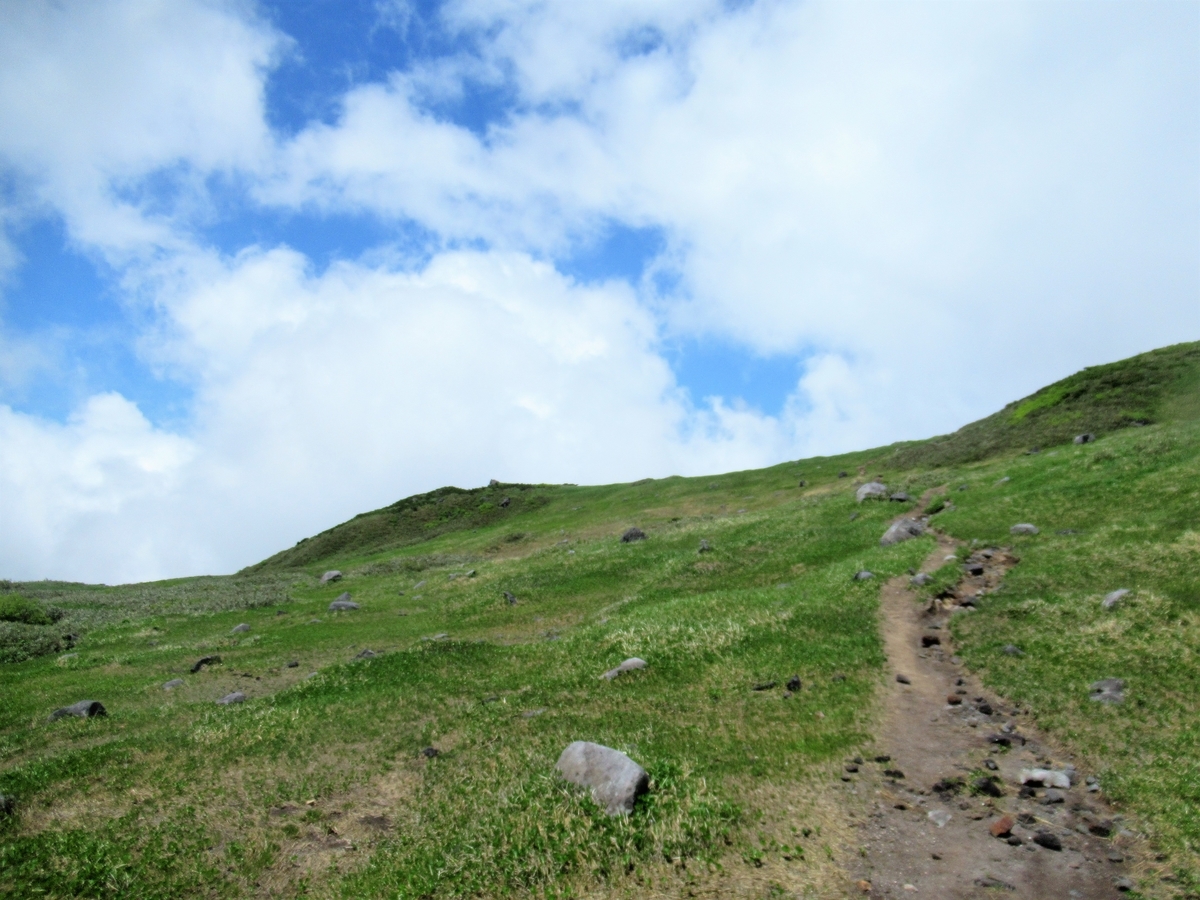 f:id:pft78526:20190714055915j:plain