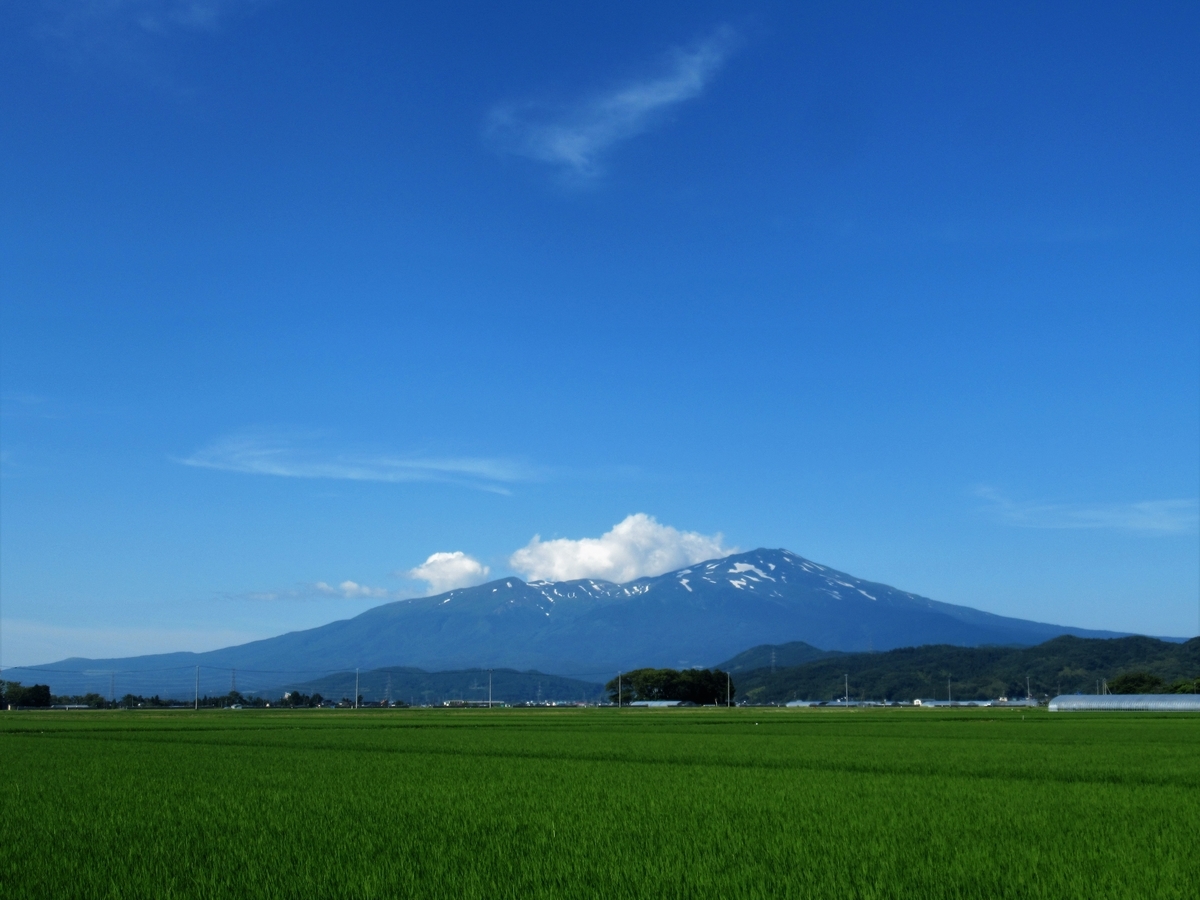 f:id:pft78526:20190714061207j:plain