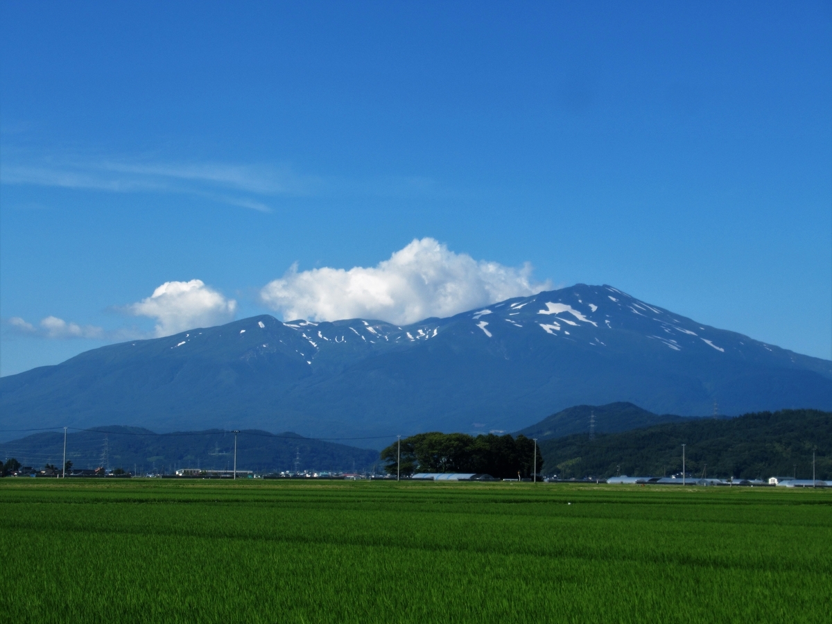 f:id:pft78526:20190721063026j:plain