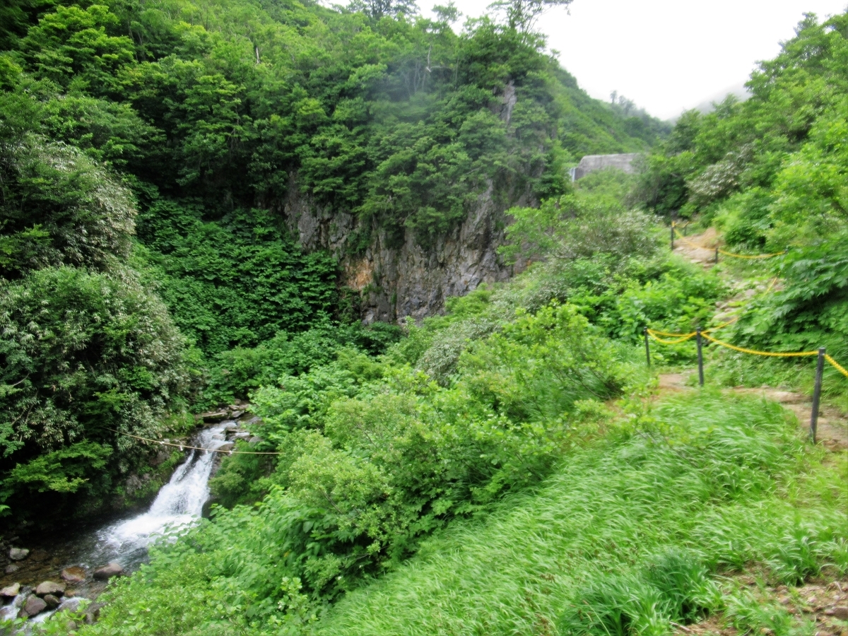 f:id:pft78526:20190721075644j:plain