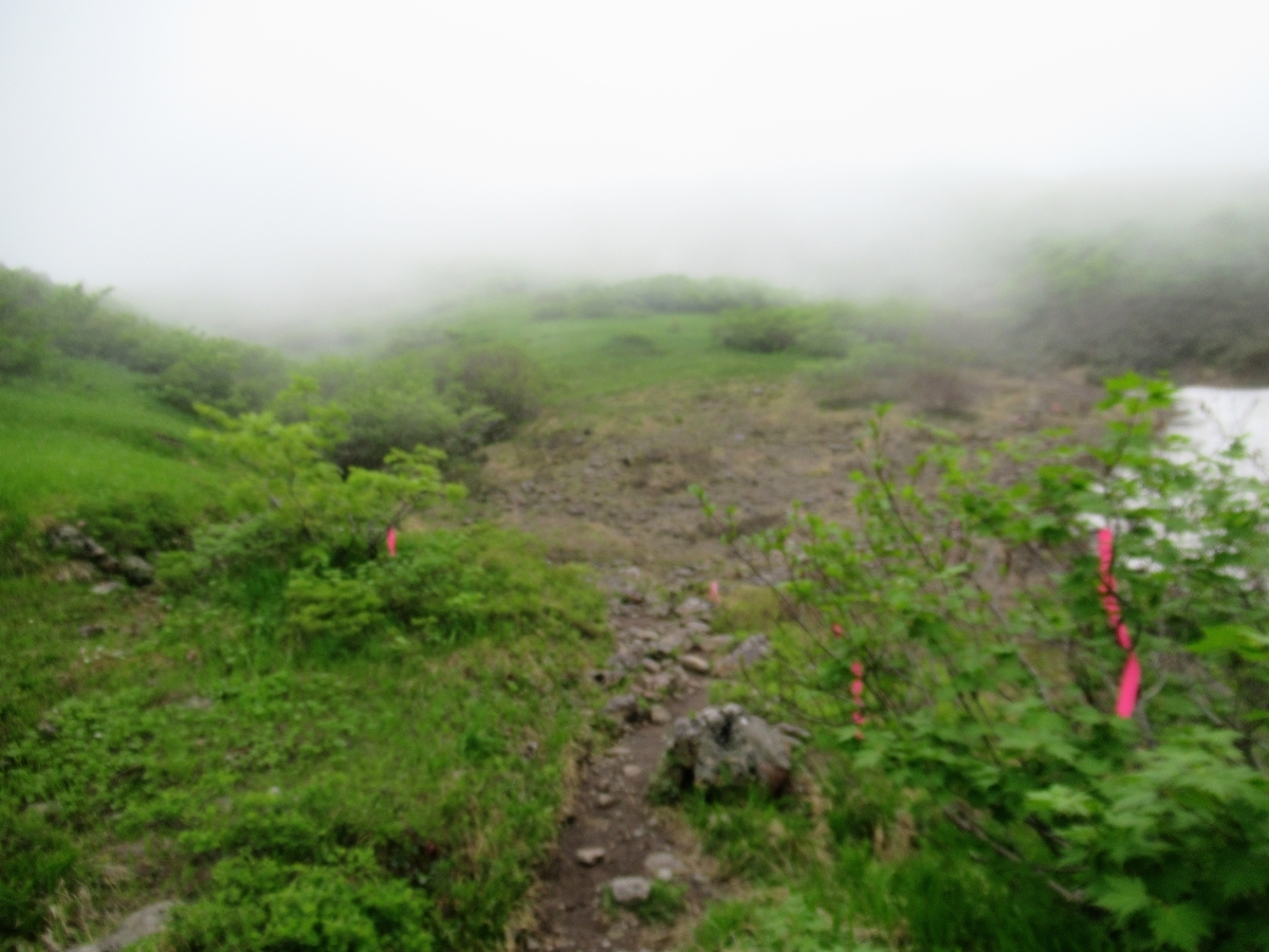 f:id:pft78526:20190721082156j:plain f:id:pft78526:20190721082156j:plain