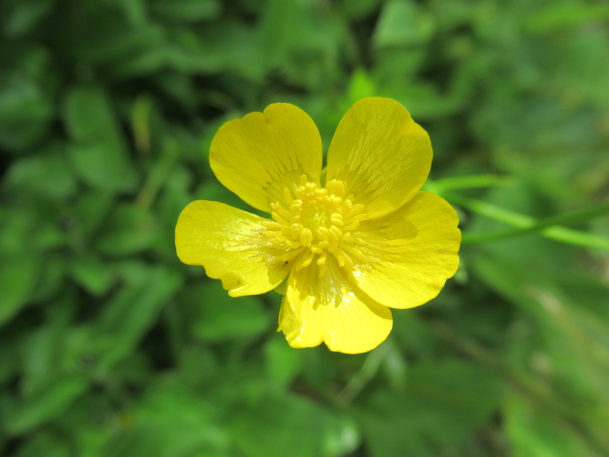 f:id:pft78526:20190721082502j:plain f:id:pft78526:20190721082502j:plain