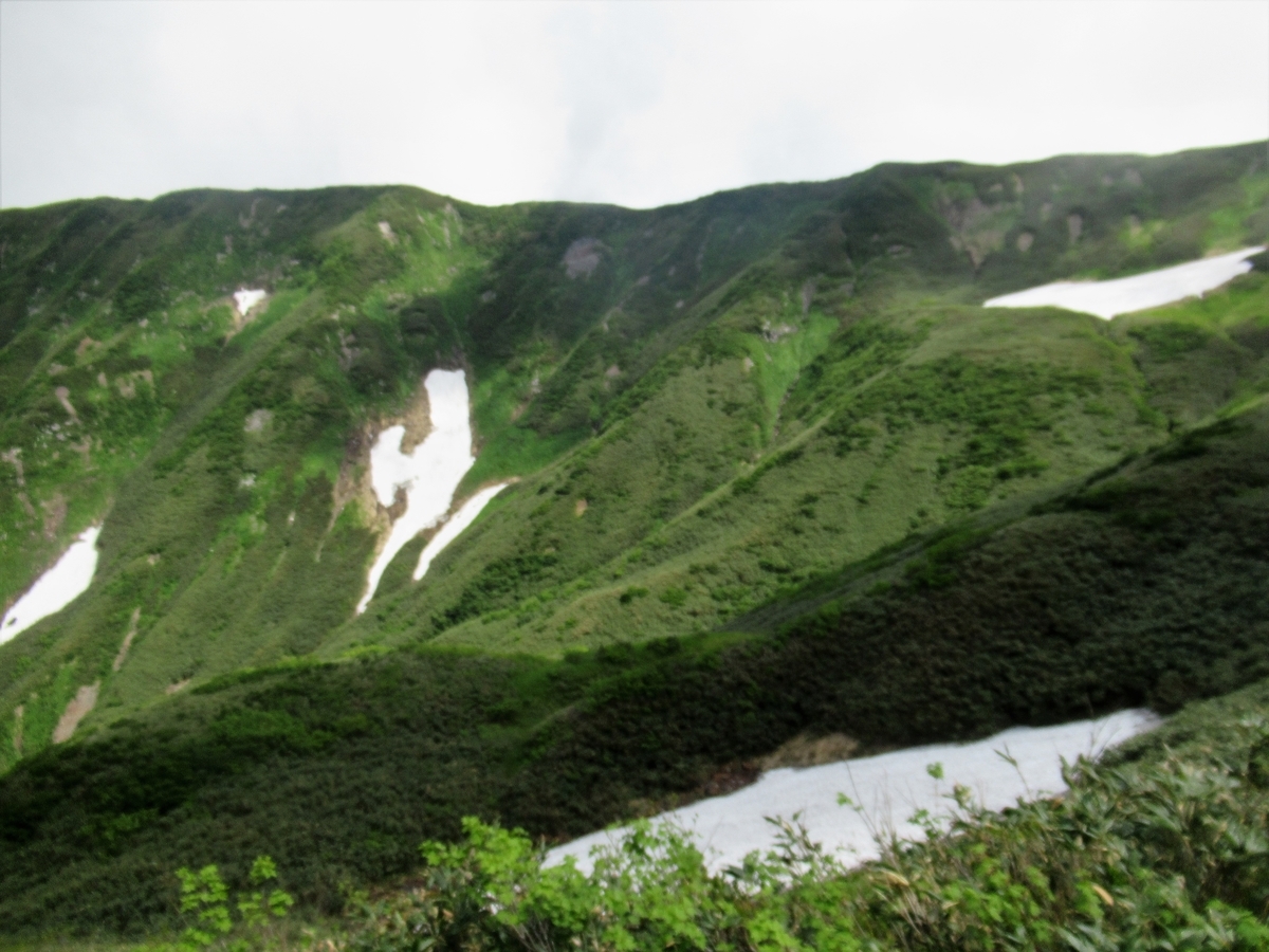 f:id:pft78526:20190721084531j:plain f:id:pft78526:20190721084531j:plain