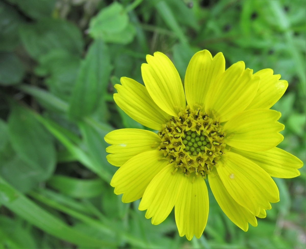 f:id:pft78526:20190721091455j:plain f:id:pft78526:20190721091455j:plain