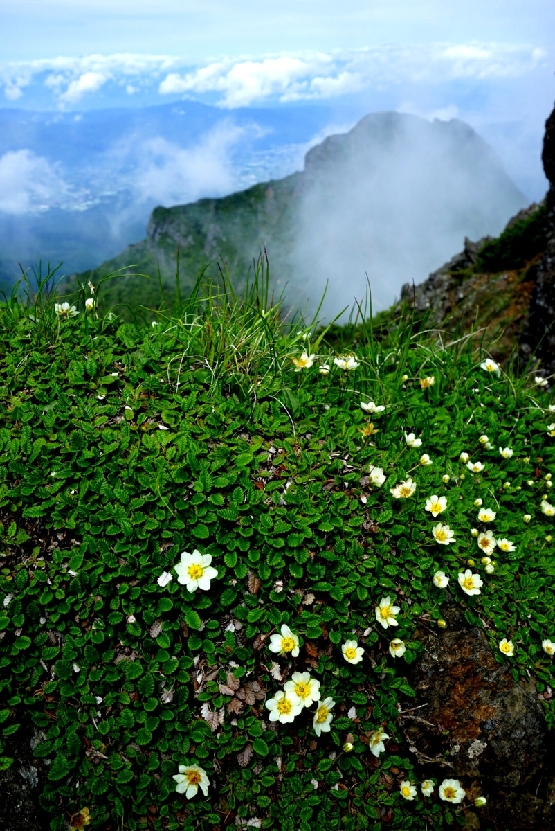 f:id:pft78526:20190722202201j:plain