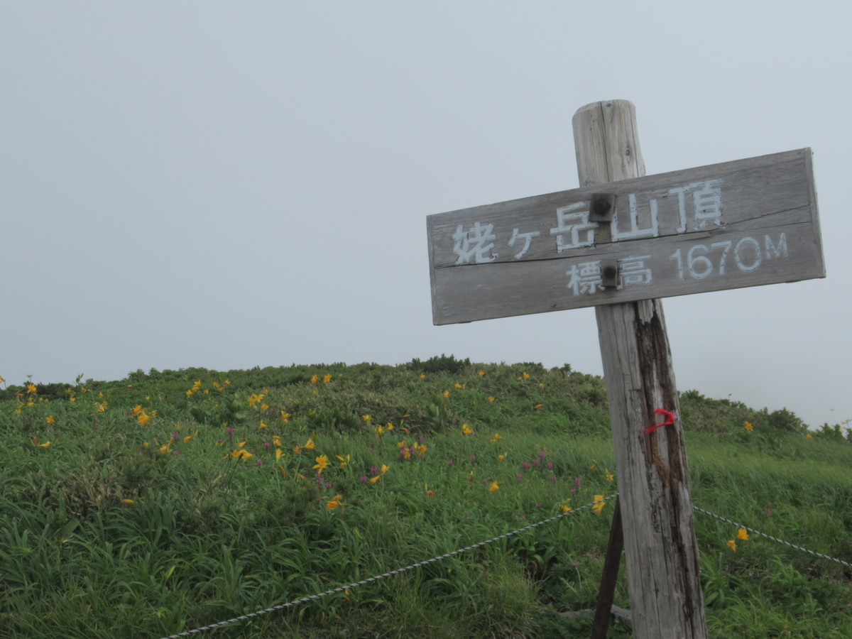f:id:pft78526:20190723192326j:plain
