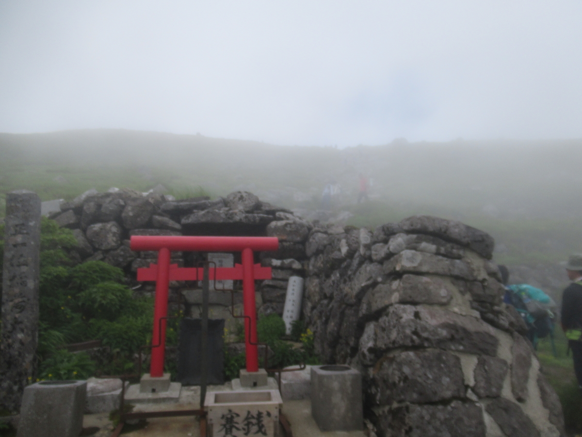 f:id:pft78526:20190723194758j:plain