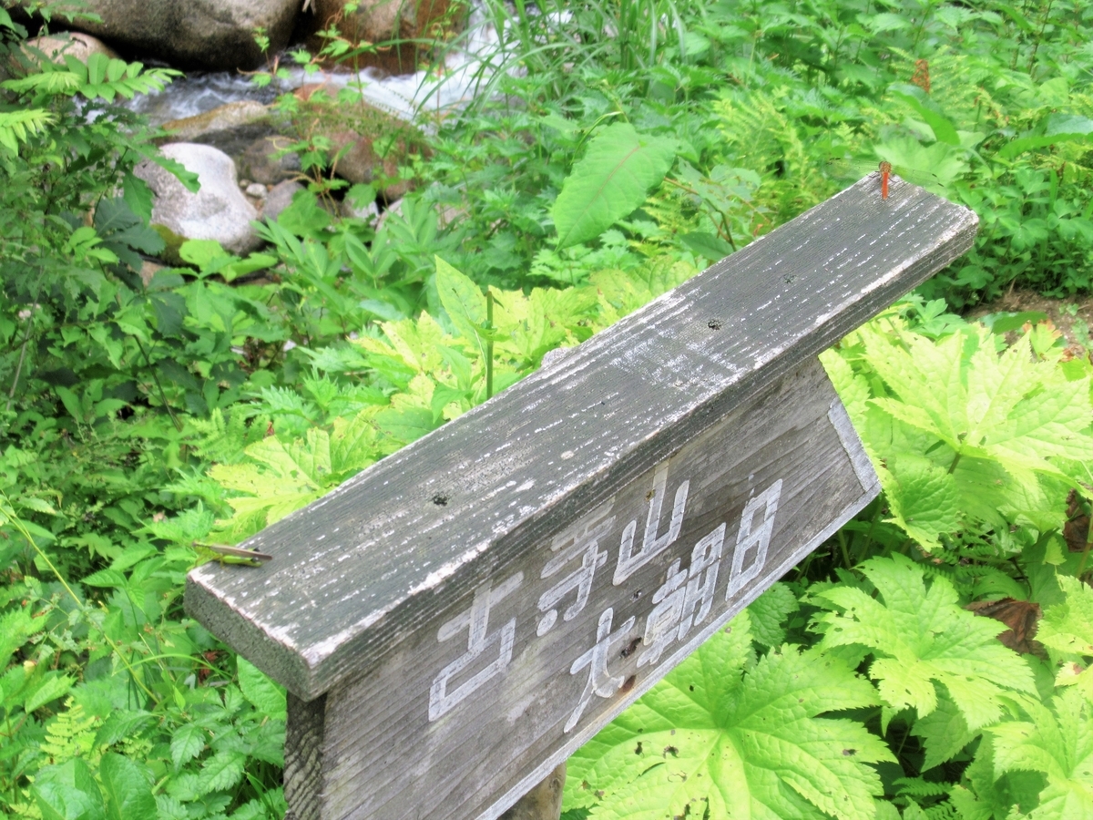 f:id:pft78526:20190812200721j:plain