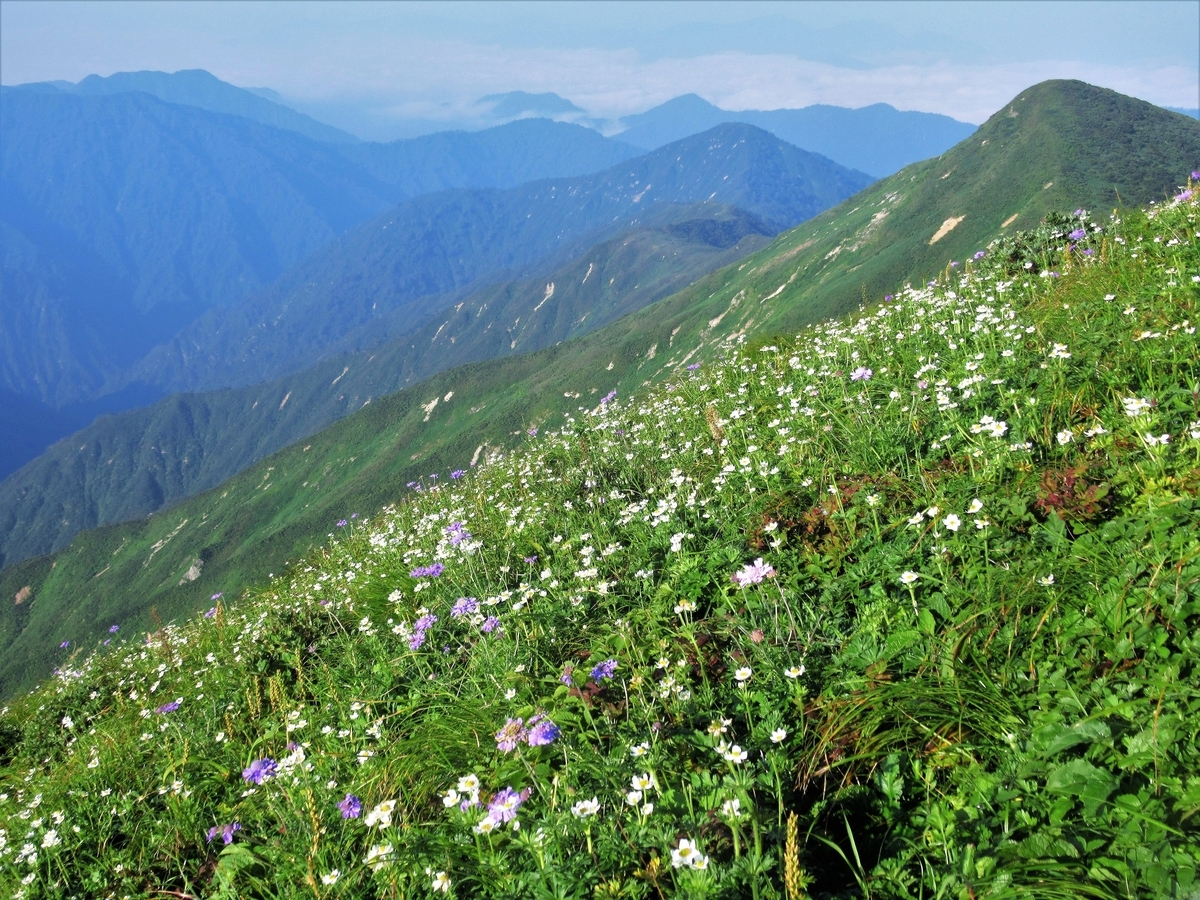 f:id:pft78526:20190812202340j:plain