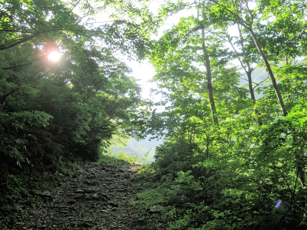 f:id:pft78526:20190815174603j:plain