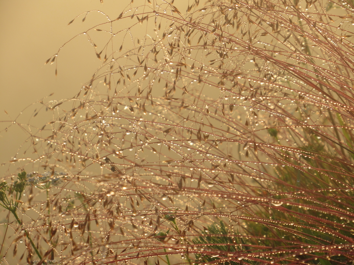 f:id:pft78526:20190817111854j:plain