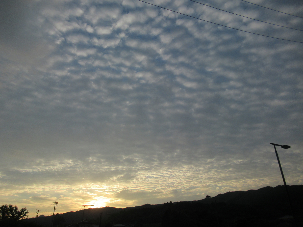 f:id:pft78526:20190907071339j:plain