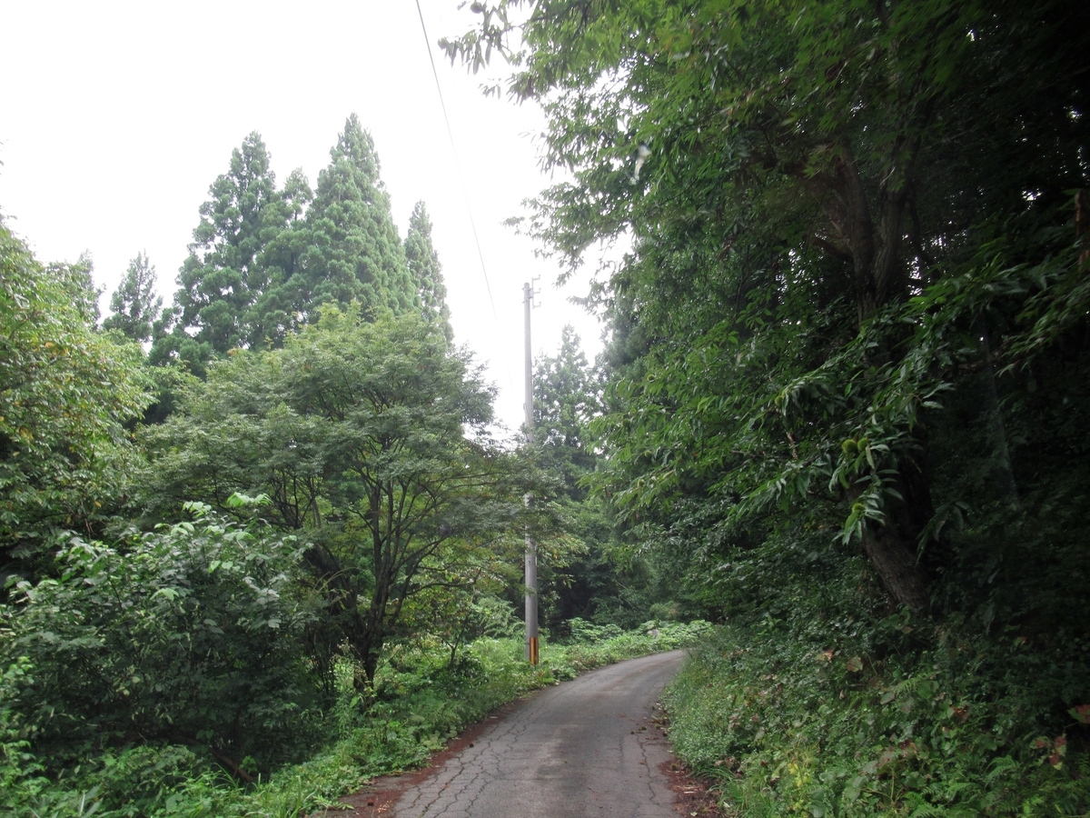 f:id:pft78526:20190907071511j:plain