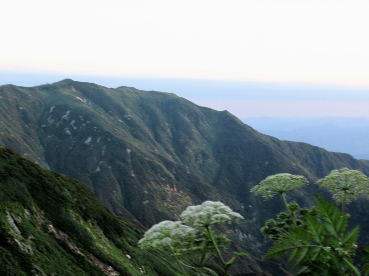 f:id:pft78526:20190924211904j:plain
