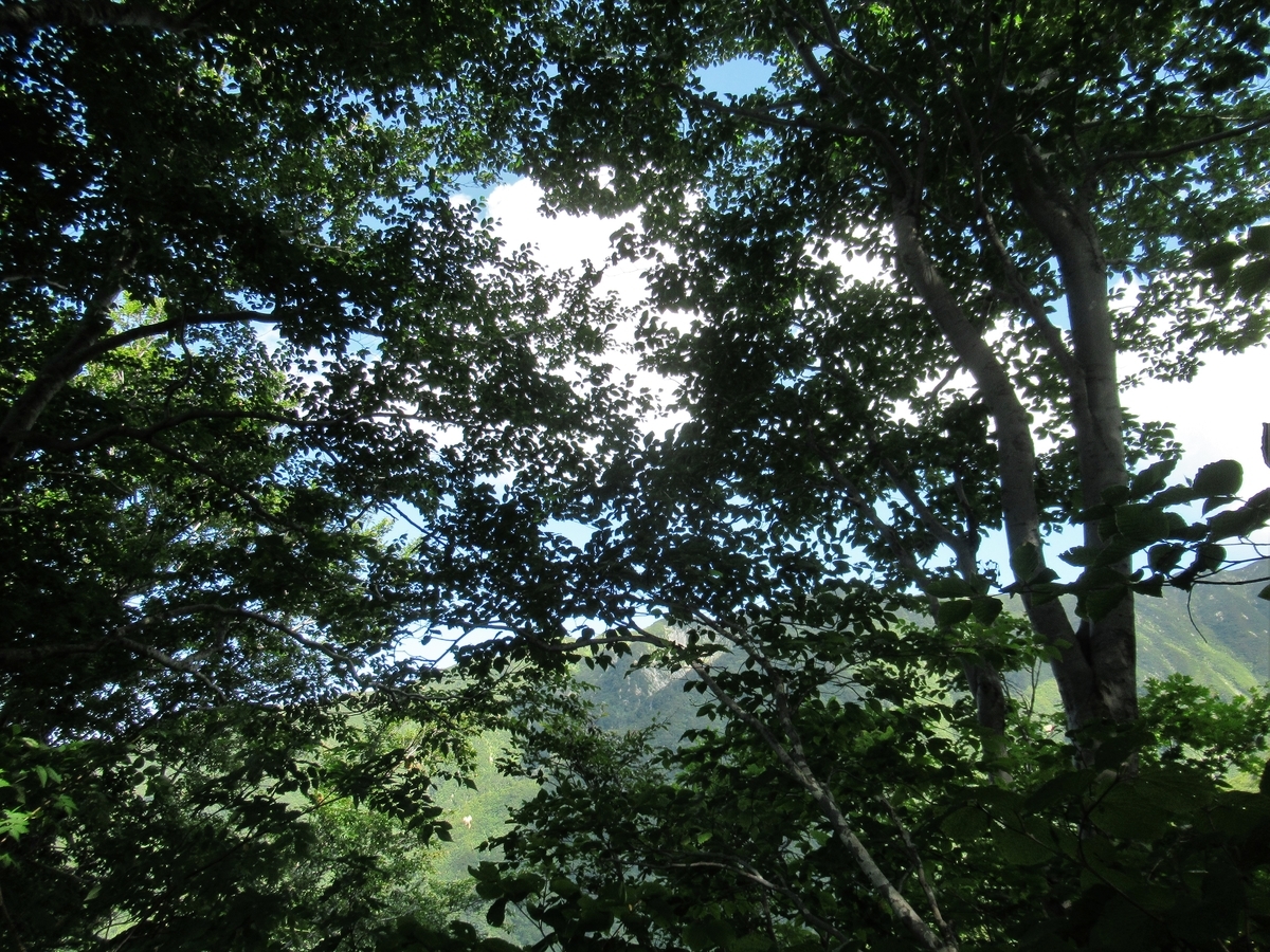 f:id:pft78526:20190929201207j:plain
