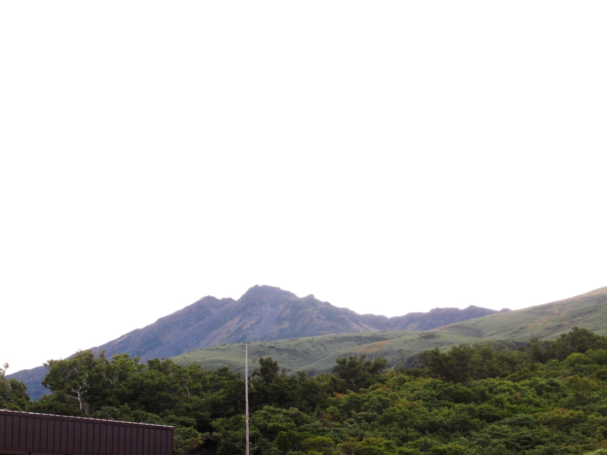 f:id:pft78526:20191003173832j:plain