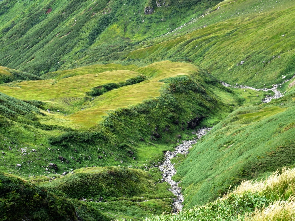 f:id:pft78526:20191003202716j:plain f:id:pft78526:20191003202716j:plain