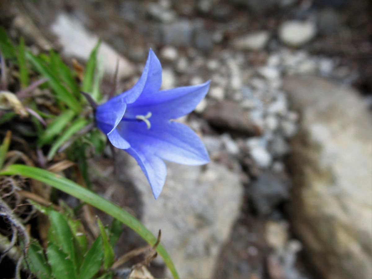 f:id:pft78526:20191004053626j:plain f:id:pft78526:20191004053626j:plain