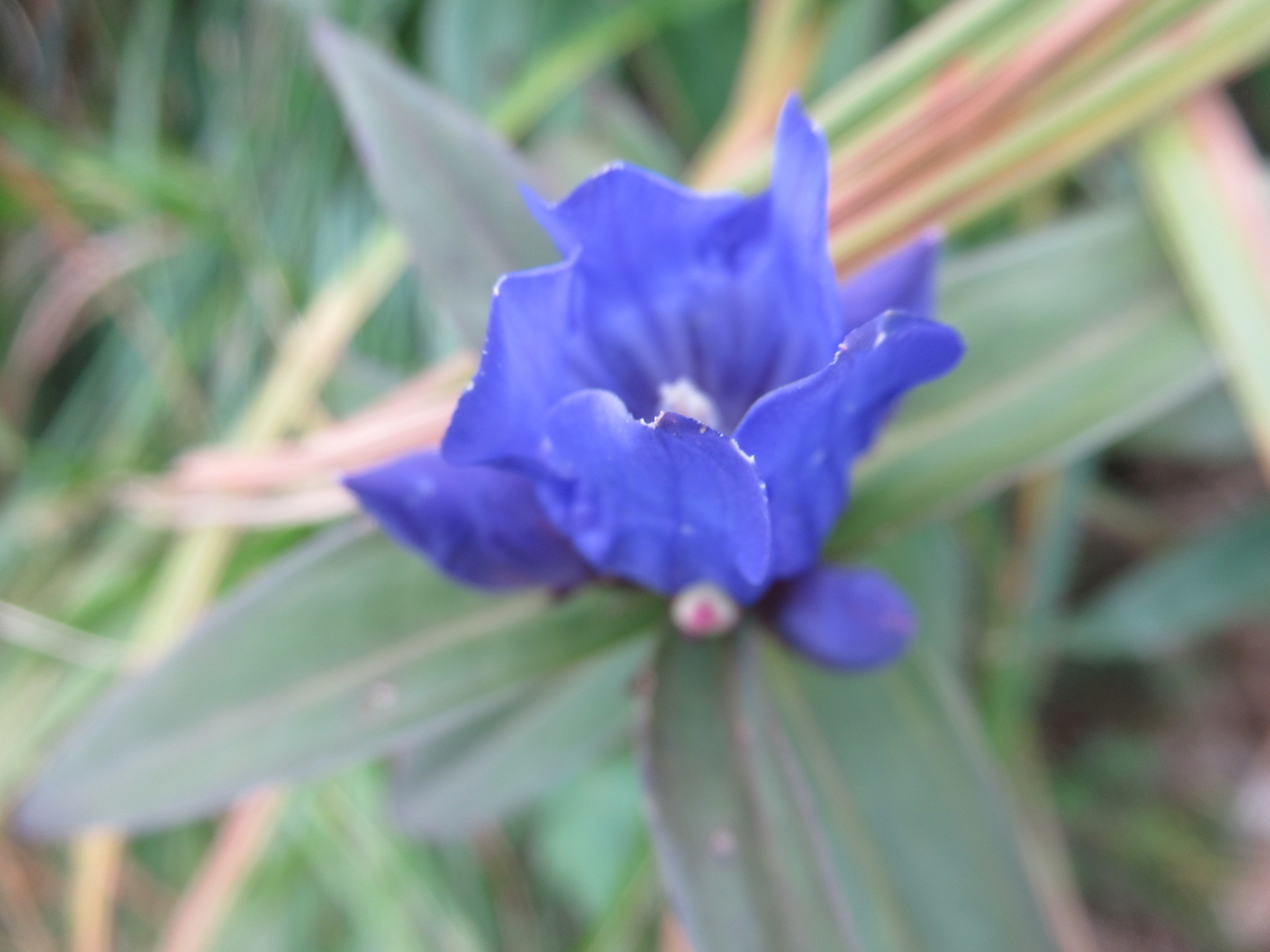 f:id:pft78526:20191005144239j:plain