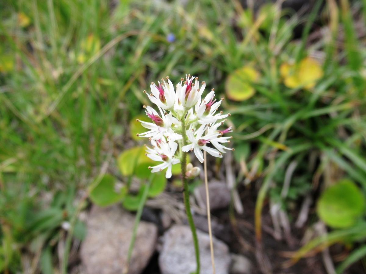 f:id:pft78526:20191005150551j:plain