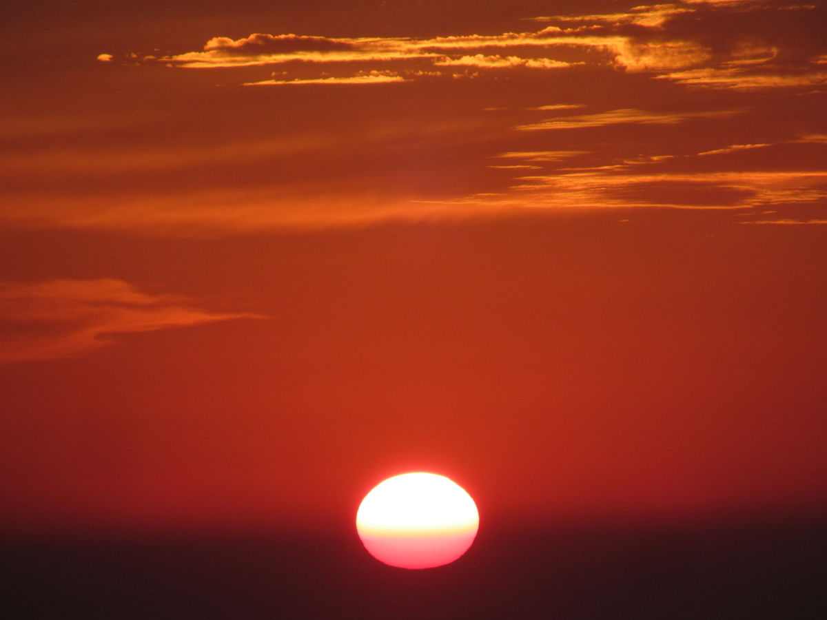 f:id:pft78526:20191008203149j:plain