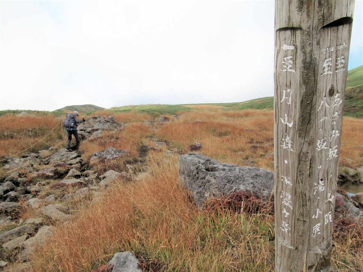 f:id:pft78526:20191012160925j:plain